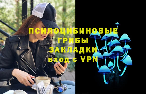 сатива Белокуриха