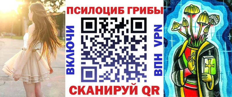 Псилоцибиновые грибы Cubensis  Котово 